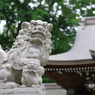 狛犬_荻窪八幡神社