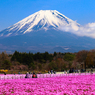 富士芝桜まつり