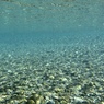 AQUA 4