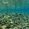 AQUA 10
