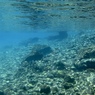 AQUA 11