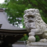 狛犬_荻窪八幡神社