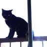 おっちゃん何してる？