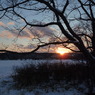 鶴居村の夕日