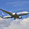 ANA 217
