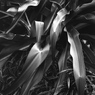 「plants」 (film:HR20)