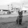 お母しゃん