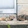 くつろぎ