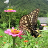 楽園