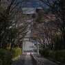 真如堂に至る参道（宗忠神社）