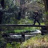 冬の泉川（糺の森）
