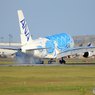 「青い日」A380-841 Flying Honu  Landing です