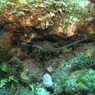 P9100065