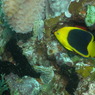 P9100066