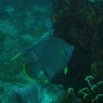 P9100067
