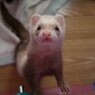 ここ、のぼれますか？こばると