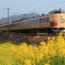 菜の花鉄道