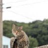 小さい雨降ってきた