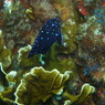 P9100070