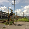DSC_10044 (36)