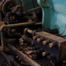 IMGP6641