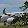 JAL 263