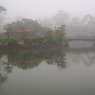 朝霧の風景