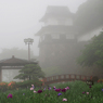朝霧の風景