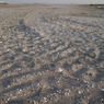 R0011797