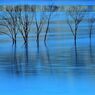 Blue City
