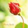 庭の薔薇（ウイリアムモーリス）