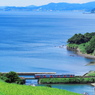 湾岸電車と海