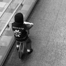 eazy rider