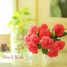 庭の薔薇（サージョン・ベッジャマン）