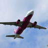 「良い天気」Peach A320-214 JA814P  飛ぶ　