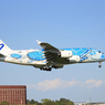 「良い天気」Flying Honu A380-841 着陸です