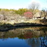 春色の池