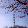 春の鉄塔