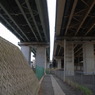 R0011813