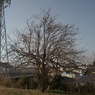 R0011824