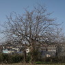 R0011825
