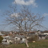 R0011826