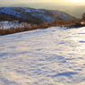 春を待つ蓬莱山