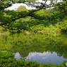 池と新緑と青空