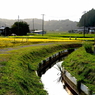 写真句：道すがら