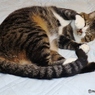 だって眠いんだもん！