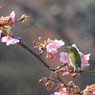 甘い香り