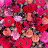 秋の花手水舎