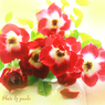 庭の薔薇(リトルアーティスト）