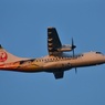 JAL 292
